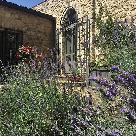 Tenuta Di Lucignano Pensjonat *